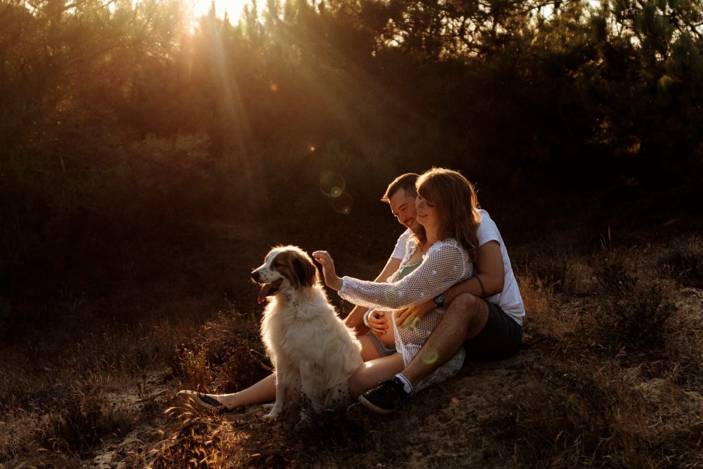 magnifique lumière en séance photo avec son chien