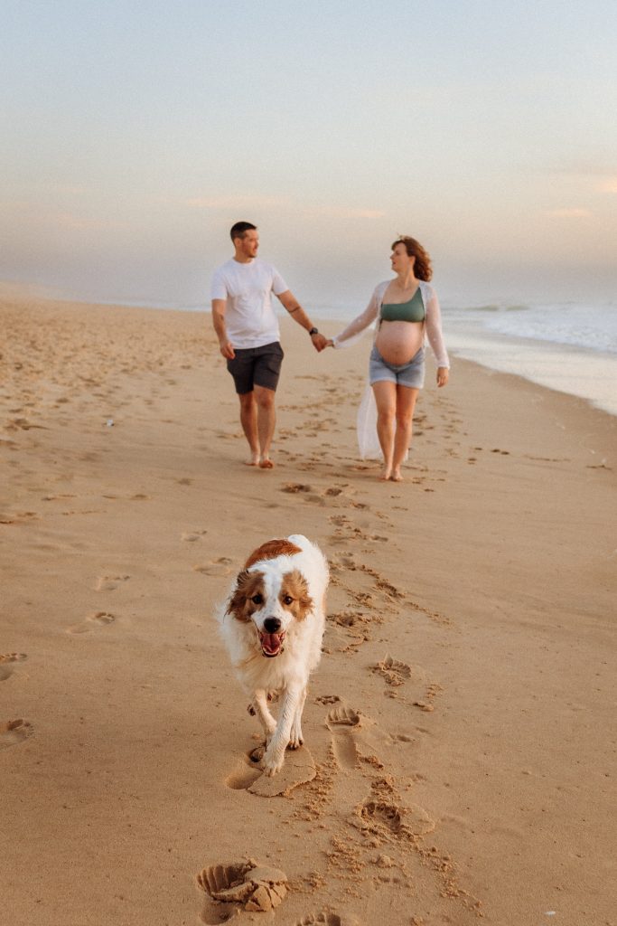 séance photo grossesse avec votre chien par Eva Lagardère