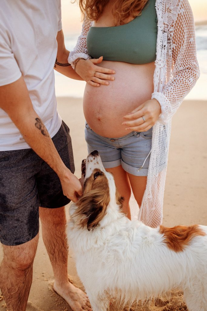 séance photo grossesse avec votre chien par Eva Lagardère