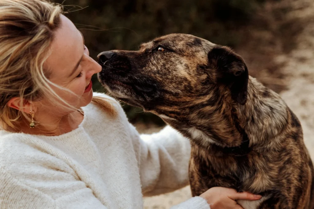 portrait maitre chien landes et pays basque