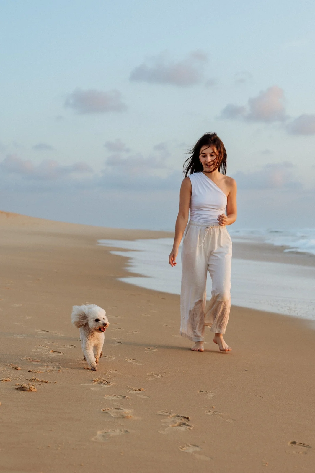 photographe animaux de compagnie dans les landes et le pays basque