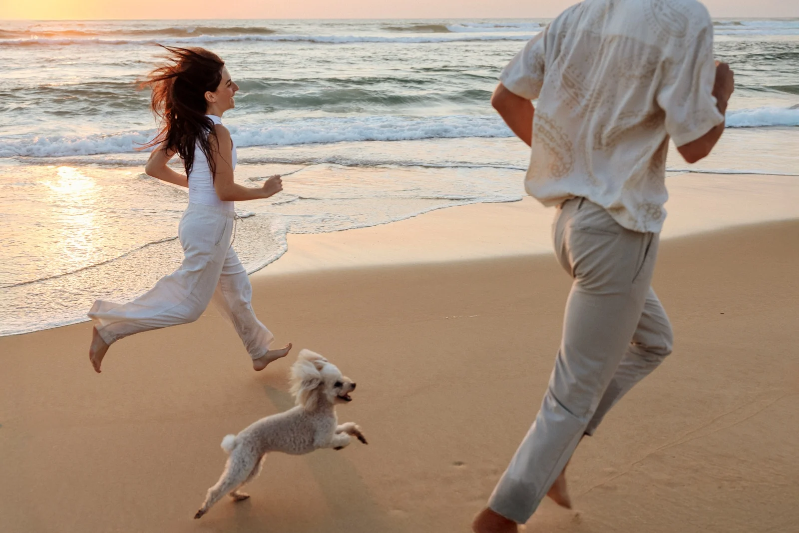 photos complices entre maitres et chiens landes et pays basque