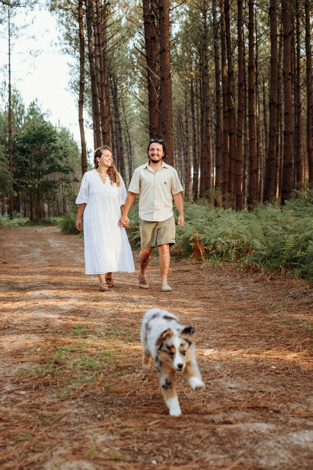 Couple se promenant avec son chiot berger américain dans la forêt des Landes
